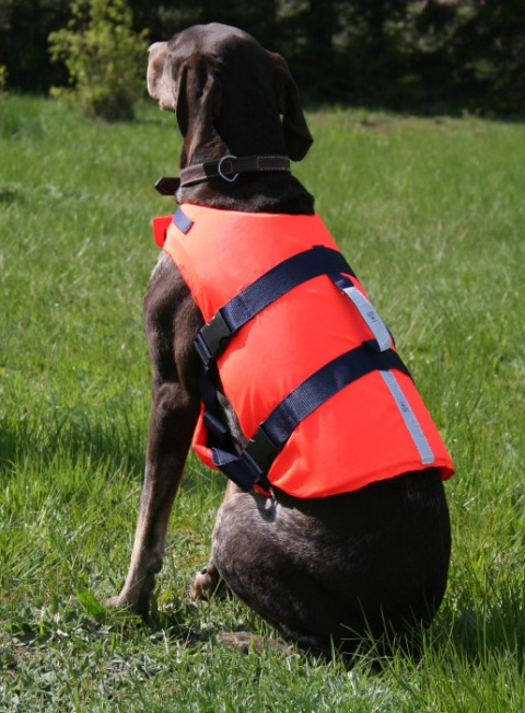 Sportis Dog vest Pupil